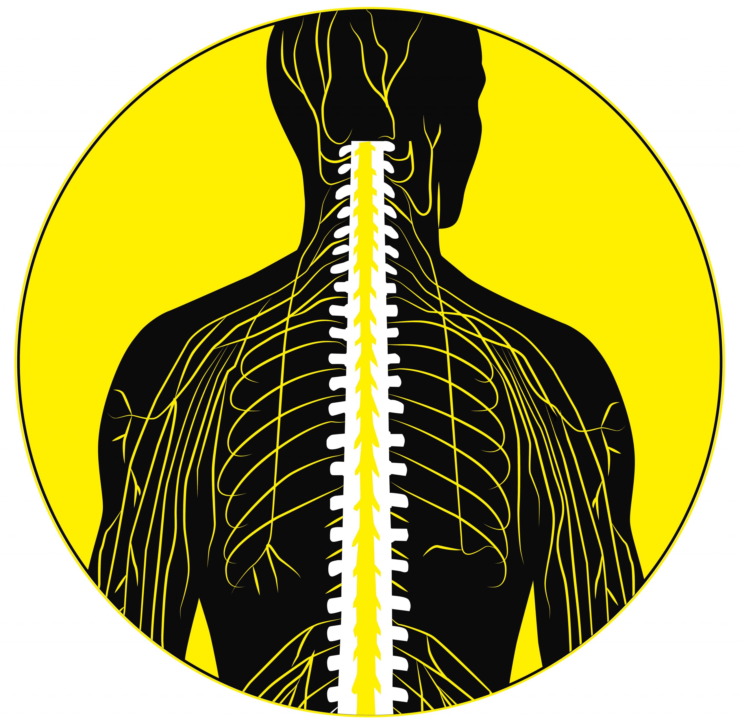 IDPOS GmbH Olga Schlegel